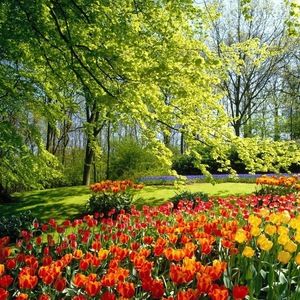 Meet your Posher, Jaime